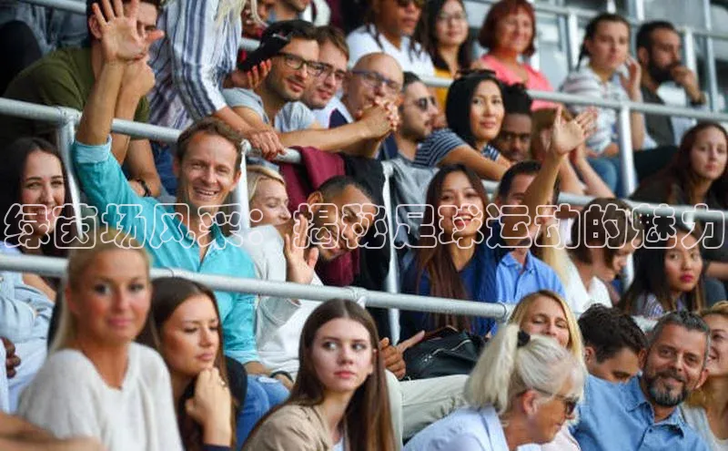 谈球吧体育app下载官网百度学术绿茵场风采：揭秘足球运动的魅力