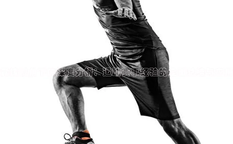 谈球吧体育官网入口ARGA公司竞技视角下的深度分析：运动赛事经验的全面总结与应用