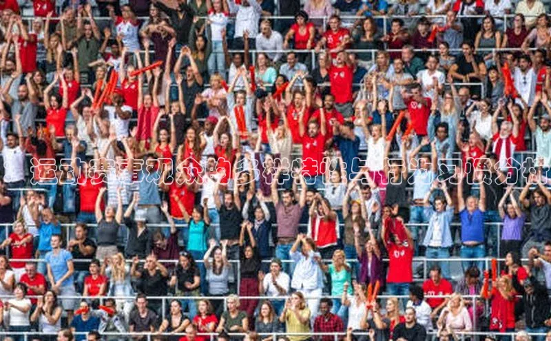 谈球吧体育app小米：运动赛事观众的多样特性与行为习惯分析