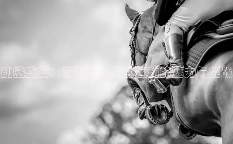 动感盛宴：有赛事参与的运动的魅力与挑战