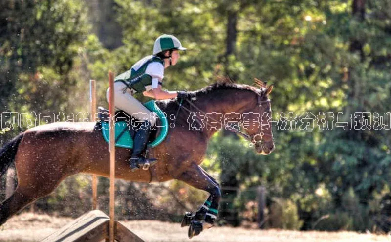 即时回报的黄金赛道：体育赛事经济分析与预测