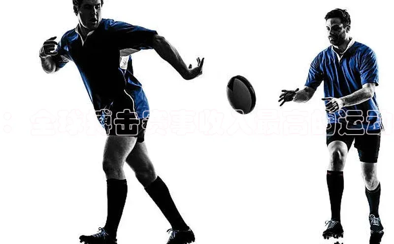 ：全球搏击赛事收入最高的运动