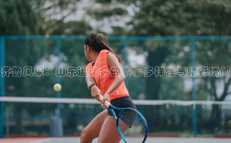 齐鲁风采：山东运动会的赛事多样性与精彩瞬间