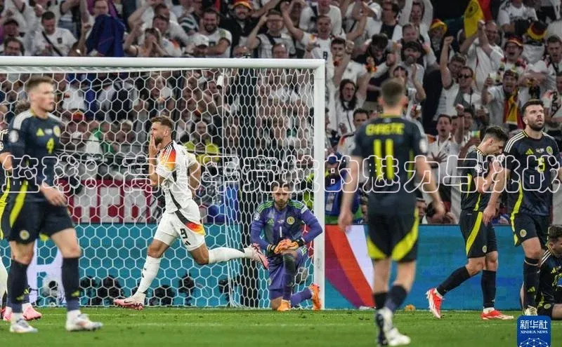 篮球：高水平竞技的魅力与挑战