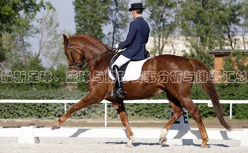 最新足球、篮球与排球赛事分析与排名汇总