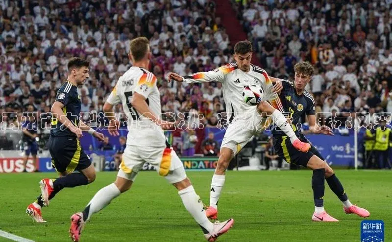 禹州市大型运动会盛况：凝聚力量，展示风采