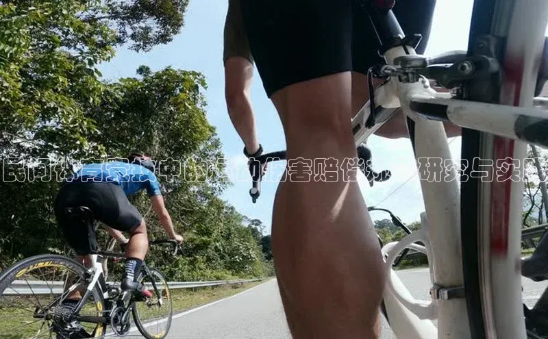 民间体育竞技中的运动伤害赔偿规范研究与实践