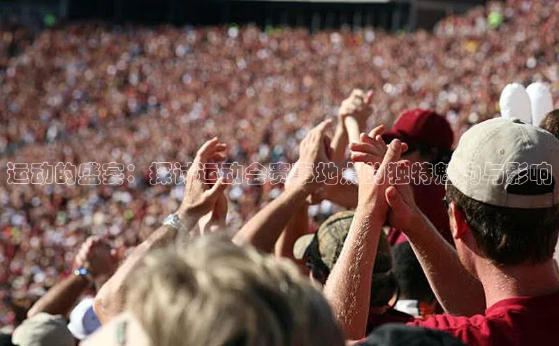 运动的盛宴：探讨运动会赛事地点的独特魅力与影响