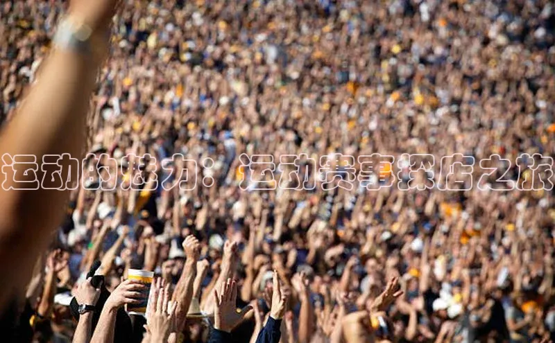 运动的魅力：运动赛事探店之旅