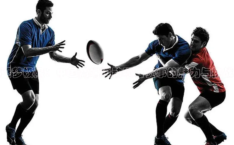 逐梦极限：中国高端运动项目赛事的魅力与挑战