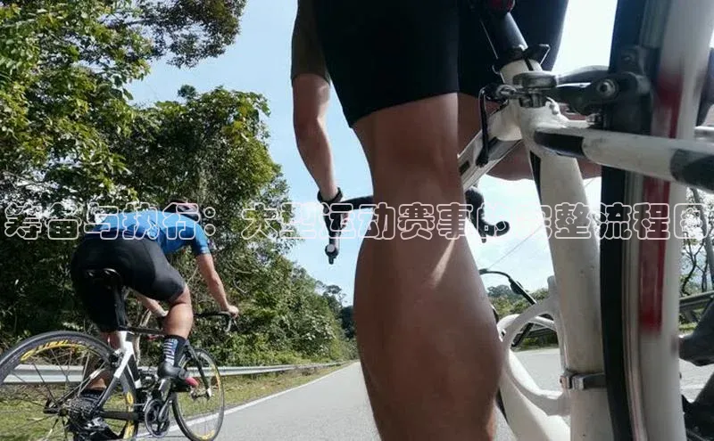 筹备与执行：大型运动赛事的完整流程图