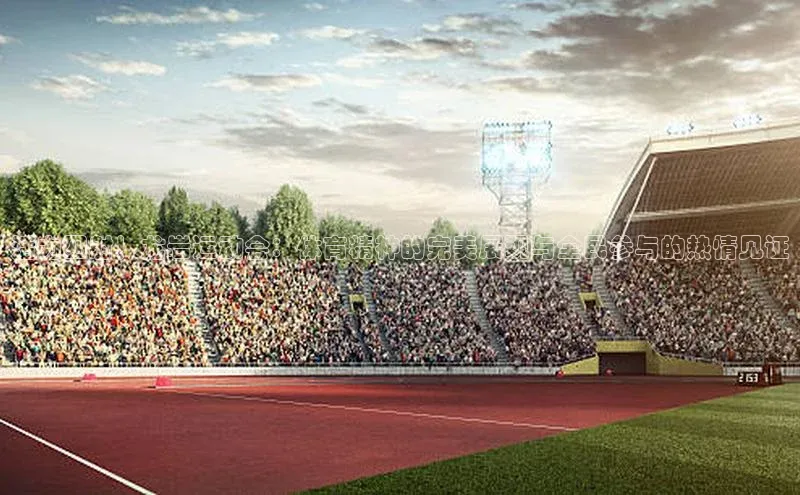 活力四射！龙岩运动会：体育精神的完美展现与全民参与的热情见证