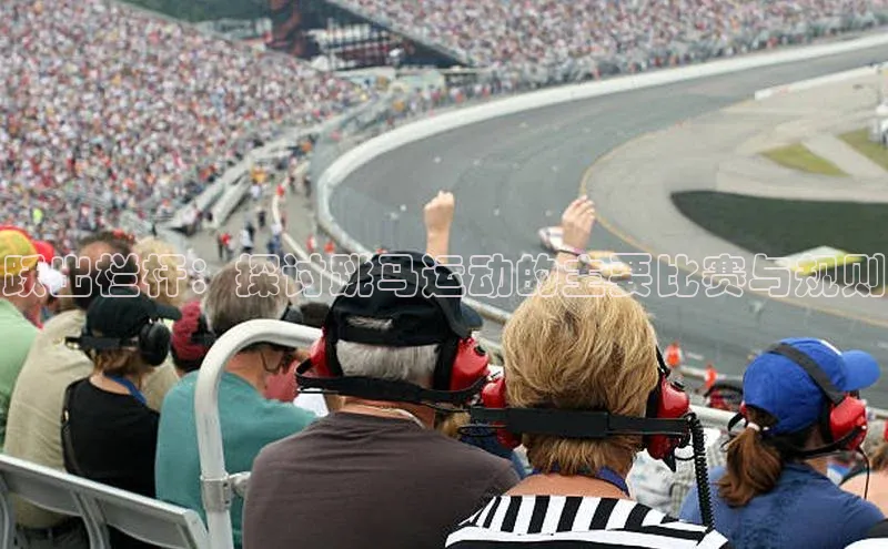 跃出栏杆：探讨跳马运动的主要比赛与规则