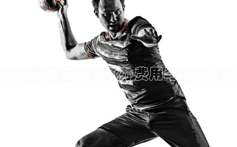 云南运动会赛事承办费用与方案探讨