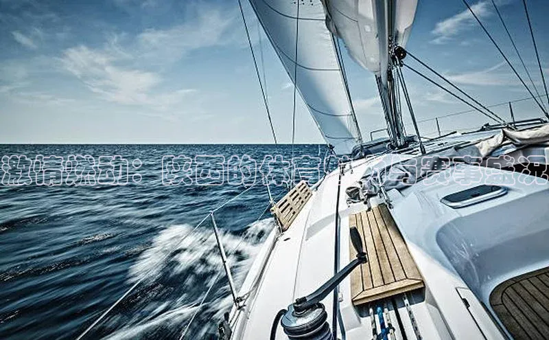 激情燃动：陕西的体育魅力与赛事盛况