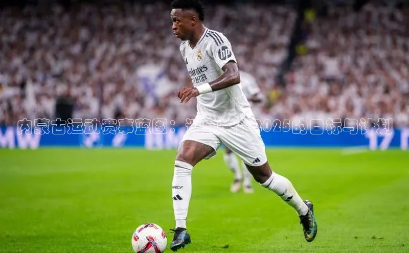 内蒙古运动赛事蓝图：迈向未来2025的目标与计划