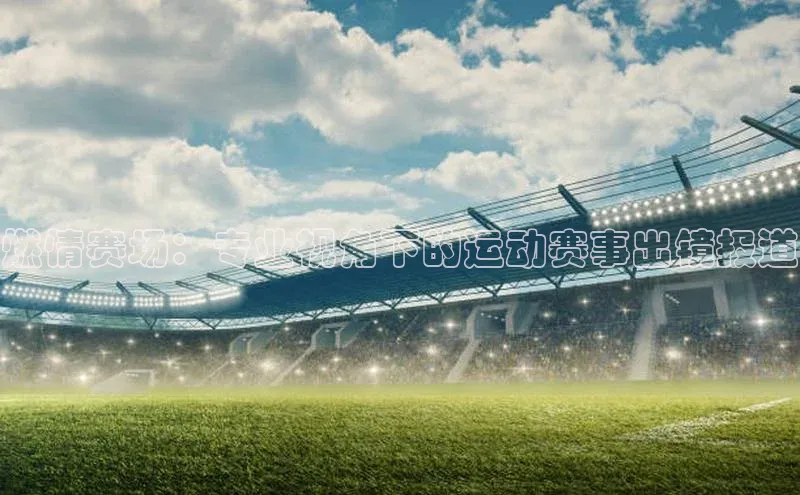 燃情赛场：专业视角下的运动赛事出镜报道